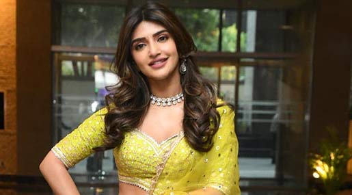 sreeleela movie updates