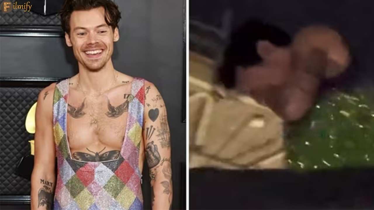 Harry Styles gets hit by his fan. Read to know why the fan acted that way.