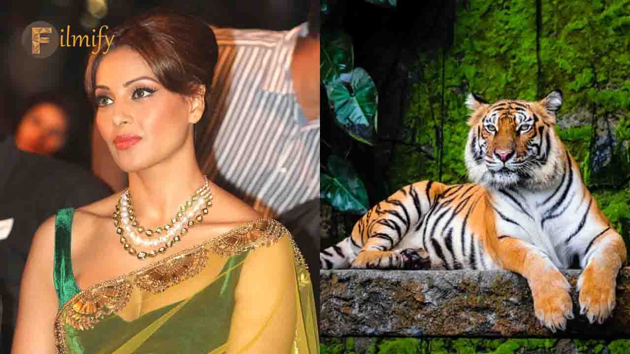 Bipasha Basu has a Bengal Tiger at home